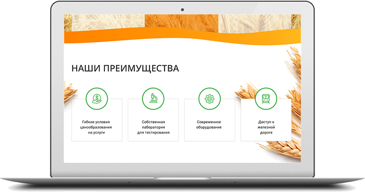 http://web4site68.ru/wp-content/uploads/2018/06/project-desktop-img-5-737x389.png